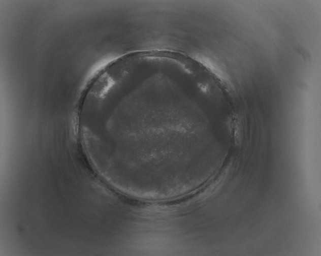 X0000116481358200912292038