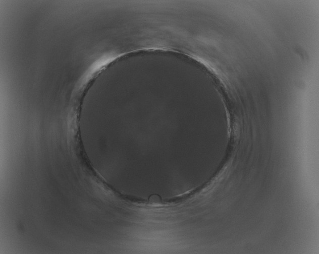 X0000116481359200912292038