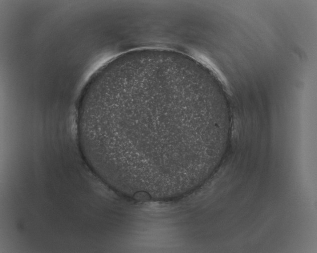 X0000116481360200912292038