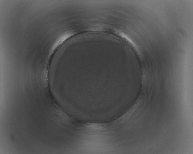 X0000116481362200912292038