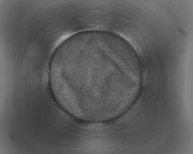 X0000116481363200912292038