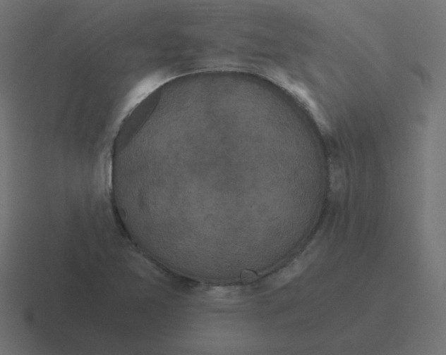 X0000116481365200912292038