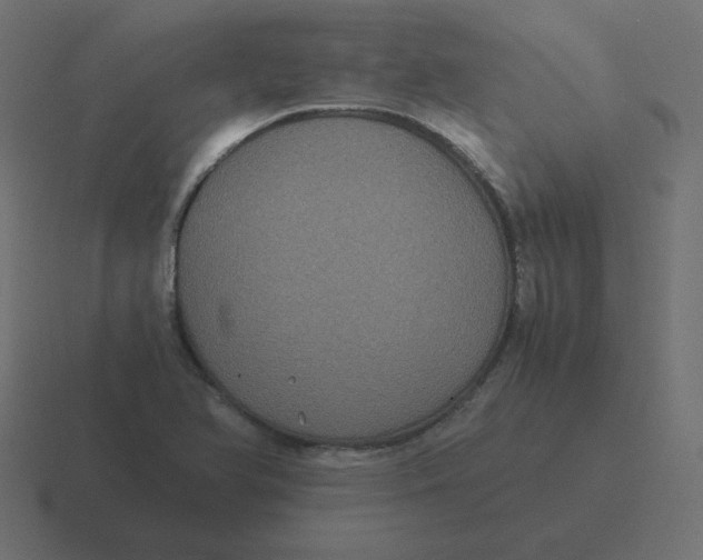 X0000116481366200912292038