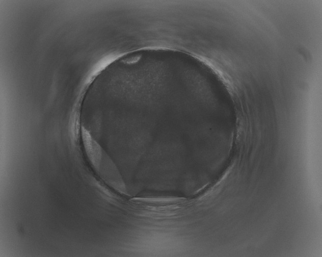 X0000116481367200912292038