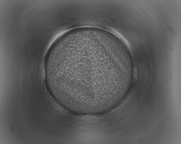 X0000116481368200912292038