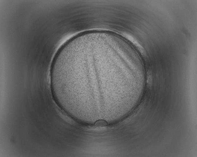 X0000116481372200912292038