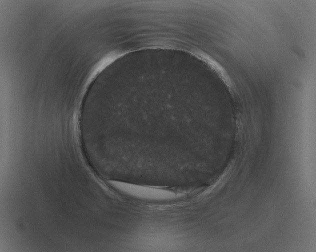 X0000116481373200912292038