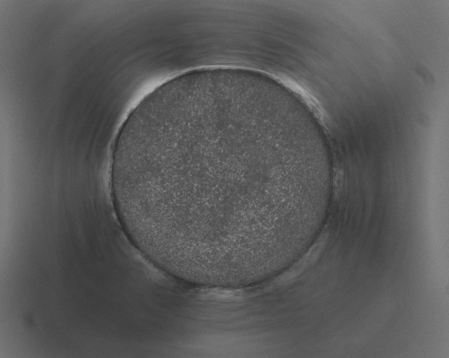 X0000116481374200912292038