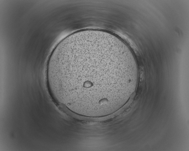 X0000116481375200912292038