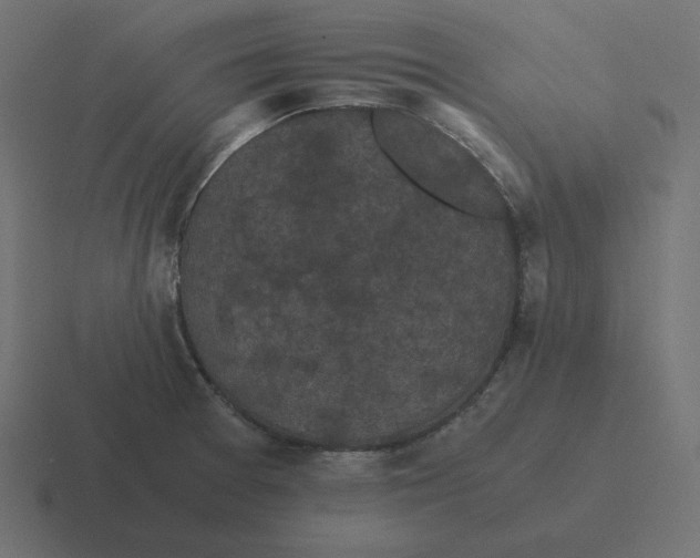 X0000116481377200912292038