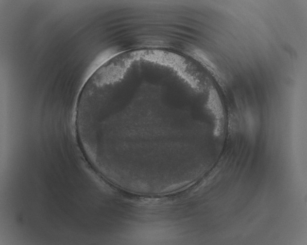 X0000116481378200912292038