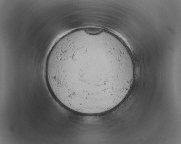 X0000116481379200912292038