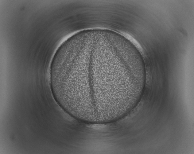 X0000116481380200912292038