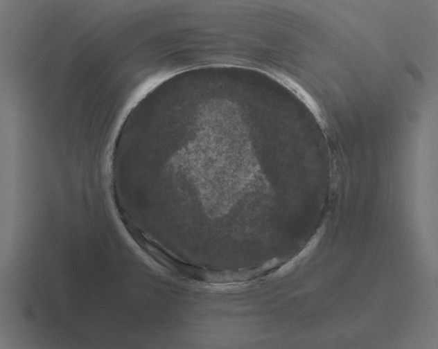 X0000116481381200912292037