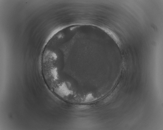 X0000116481382200912292037