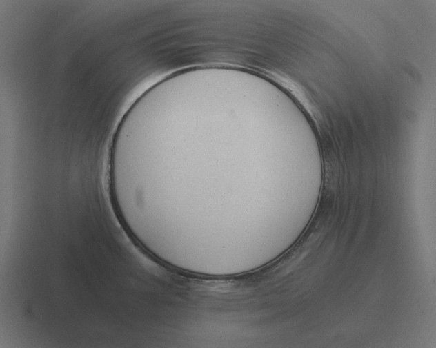 X0000116481387200912292037