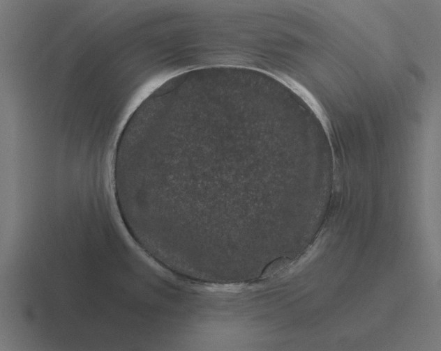 X0000116481389200912292037