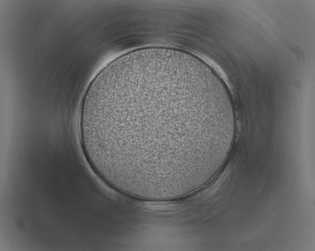 X0000116481391200912292037