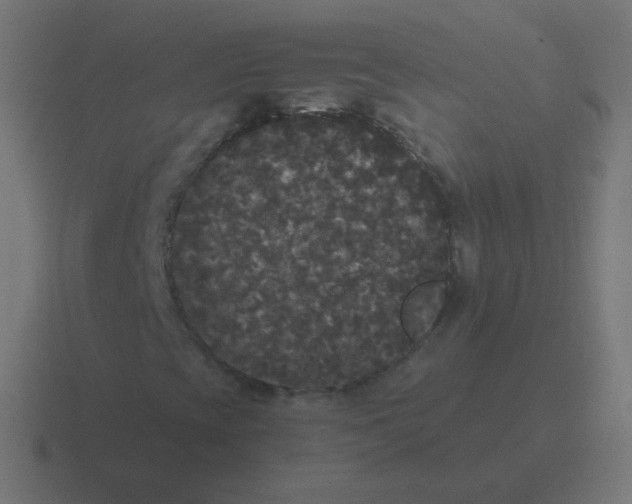 X0000116481393200912292037