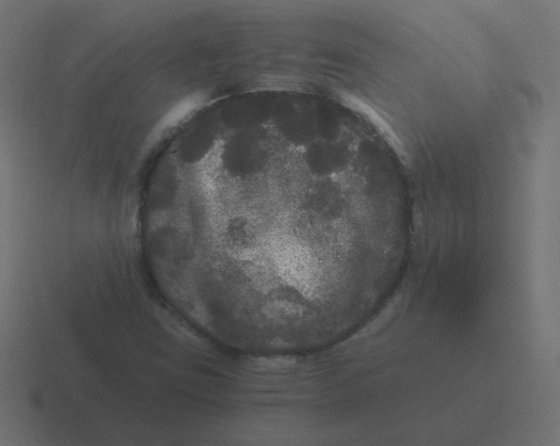 X0000116481403200912292037