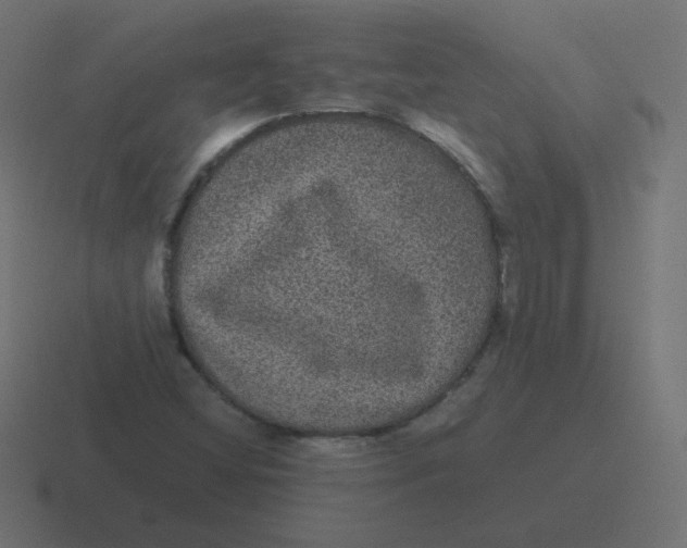 X0000116481404200912292037