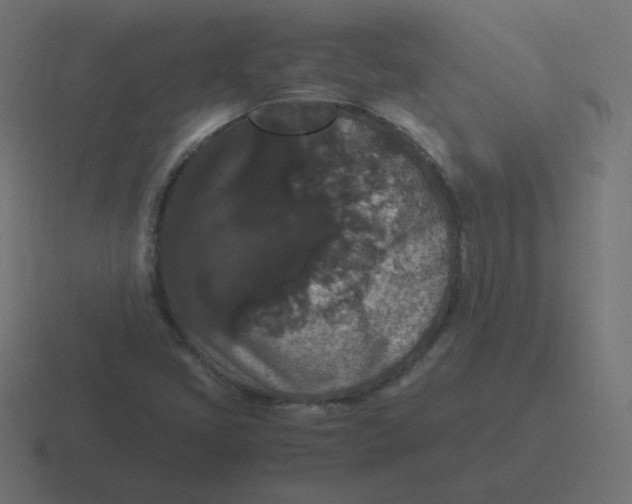 X0000116481405200912292037