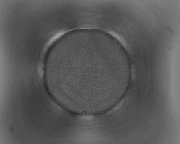 X0000116481406200912292037