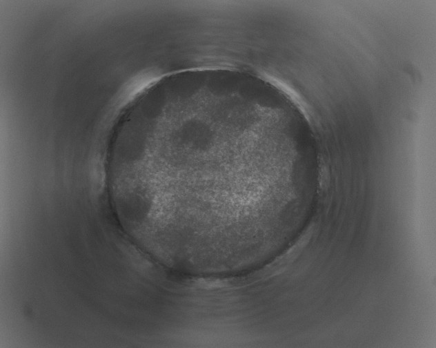 X0000116481407200912292037