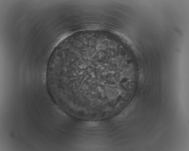 X0000116481409200912292037