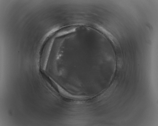 X0000116481411200912292037