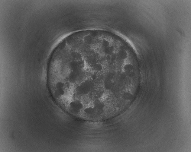 X0000116481415200912292037