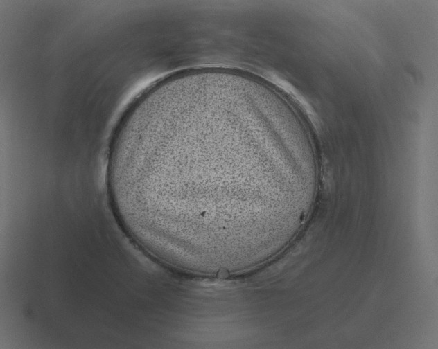 X0000116481416200912292037