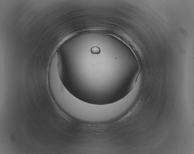 X0000116481417200912292037