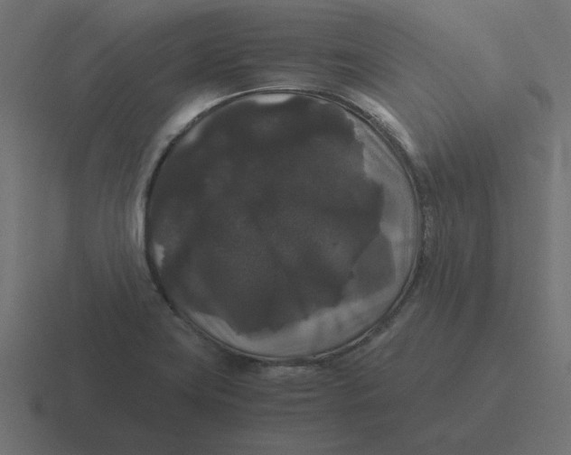 X0000116481419200912292037