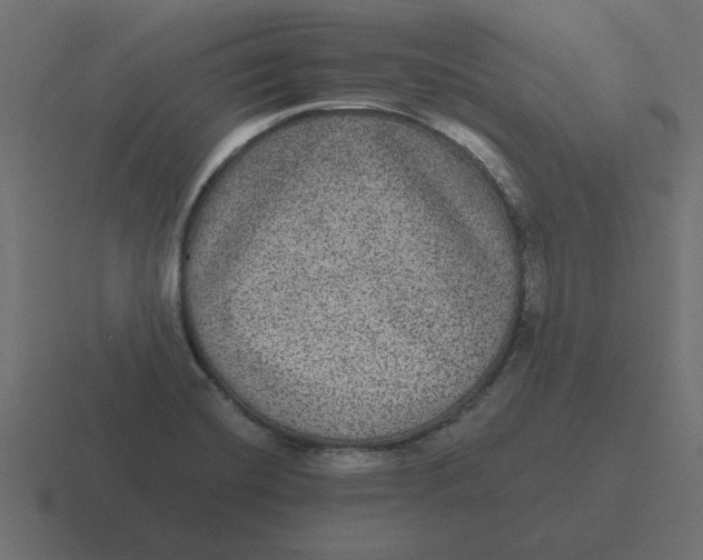 X0000116481420200912292037