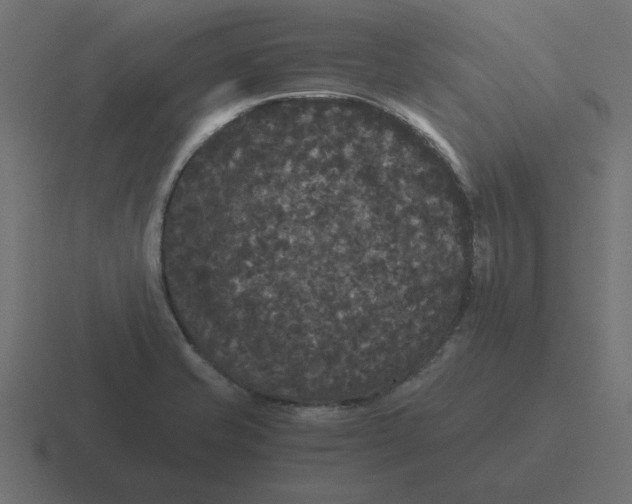 X0000116481421200912292037