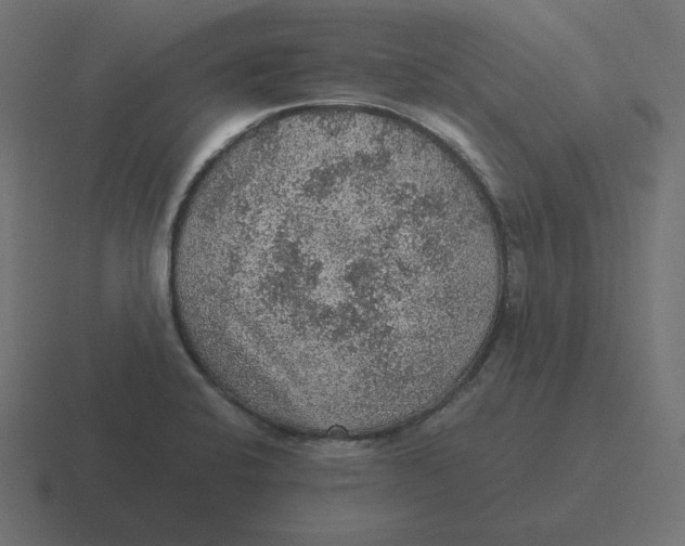 X0000116481424200912292037