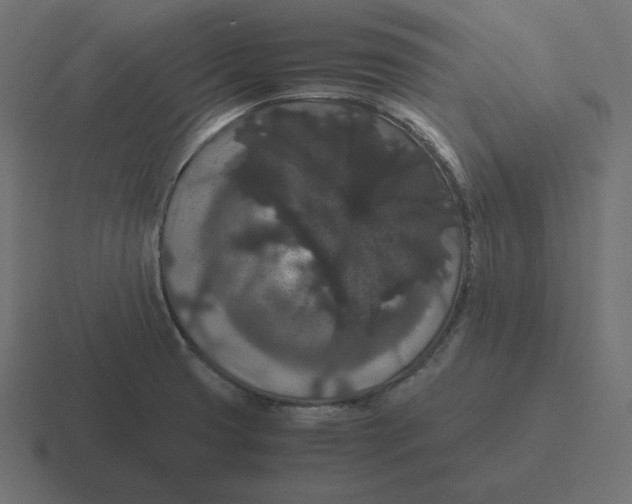 X0000116481425200912292037