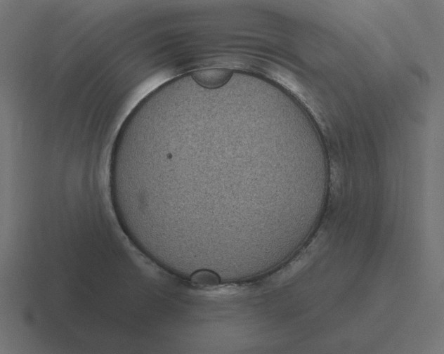 X0000116481426200912292037