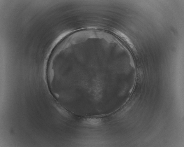 X0000116481427200912292037