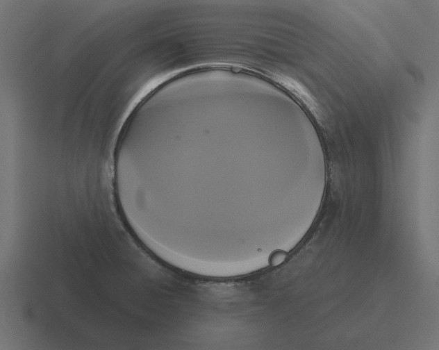 X0000116481428200912292037