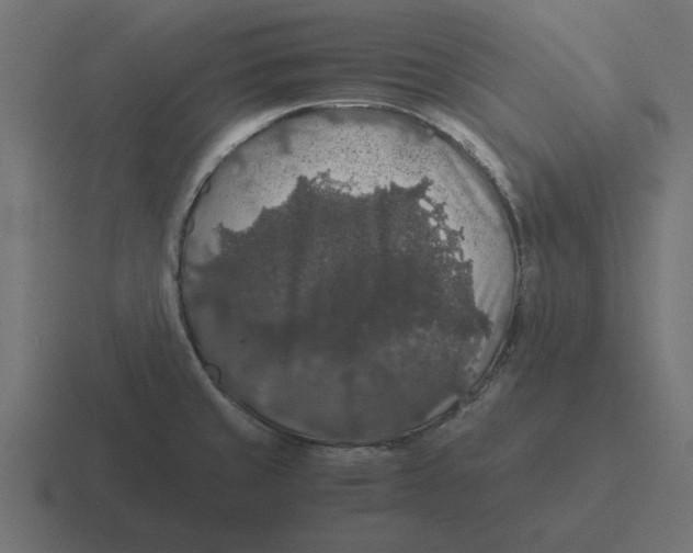 X0000116481429200912292037