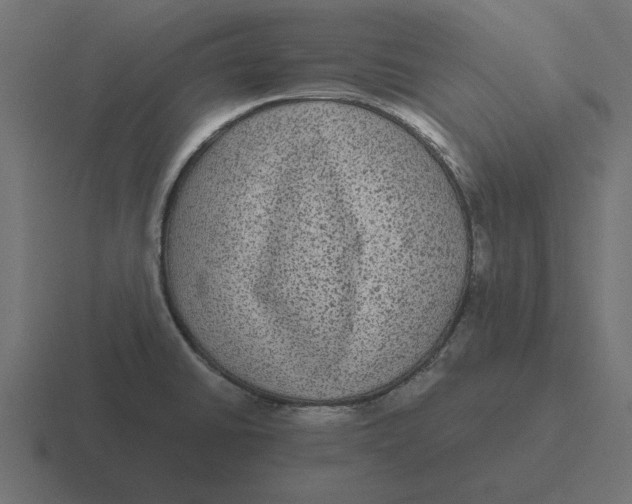 X0000116481430200912292037