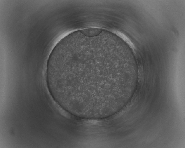 X0000116481431200912292037