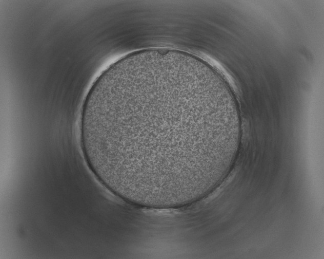 X0000116481432200912292037