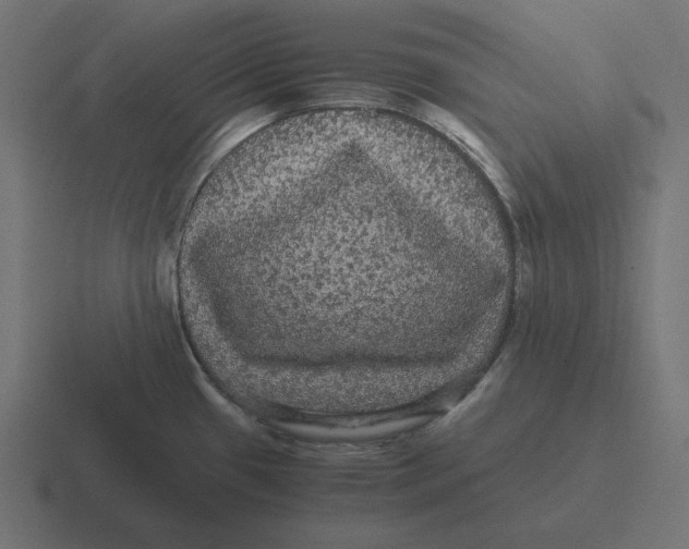 X0000116481433200912292037