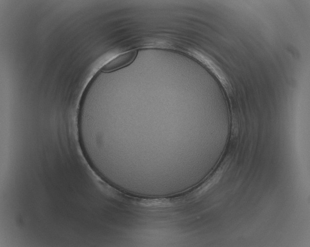 X0000116481434200912292037