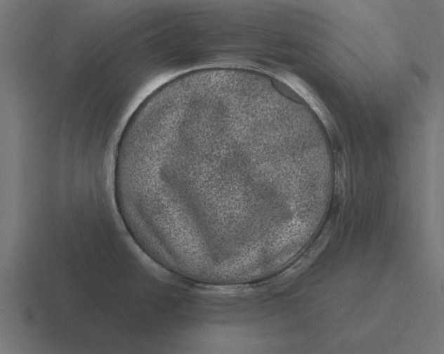 X0000116481438200912292037