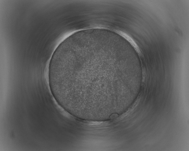 X0000116481439200912292037