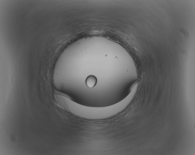 X0000116481441200912292037